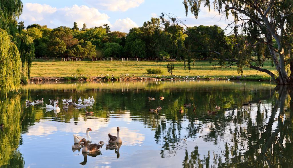 Zulu Nyala Country Manor Hotel Johannesburg Exterior photo